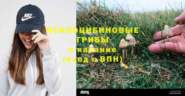 синтетический гашиш Арсеньев