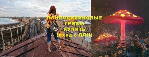 мяу мяу мука Аркадак